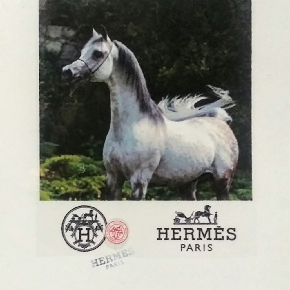 HERMÉS, Arabian Stallion Print, By Fairchild Paris - Picture 12 of 12